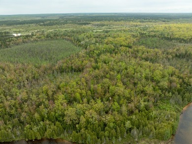 TURTLE LAKE / OTSEGO COUNTY, MI 1,408.88 Acres, 170+/- Acre - photo 39