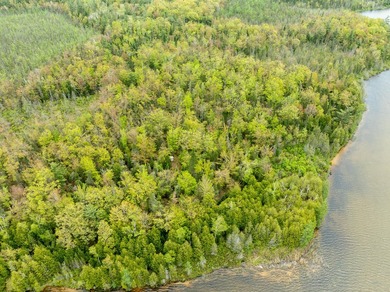 TURTLE LAKE / OTSEGO COUNTY, MI 1,408.88 Acres, 170+/- Acre - photo 40