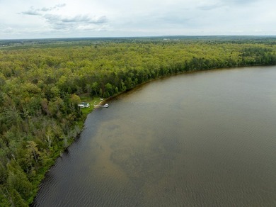 TURTLE LAKE / OTSEGO COUNTY, MI 1,408.88 Acres, 170+/- Acre - photo 41