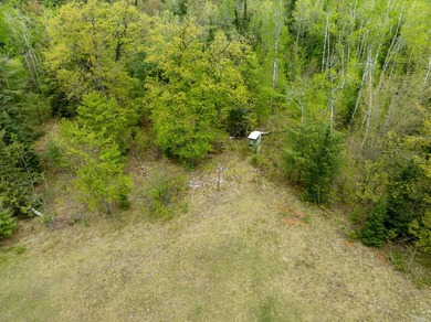 TURTLE LAKE / OTSEGO COUNTY, MI 1,408.88 Acres, 170+/- Acre - photo 44
