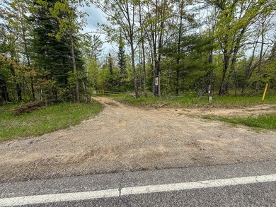 TURTLE LAKE / OTSEGO COUNTY, MI 1,408.88 Acres, 170+/- Acre - photo 46