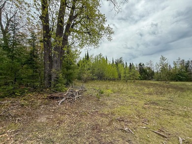 TURTLE LAKE / OTSEGO COUNTY, MI 1,408.88 Acres, 170+/- Acre - photo 48