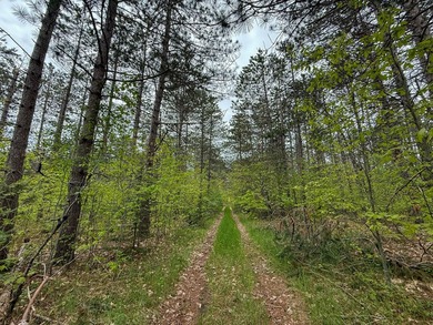 TURTLE LAKE / OTSEGO COUNTY, MI 1,408.88 Acres, 170+/- Acre - photo 50