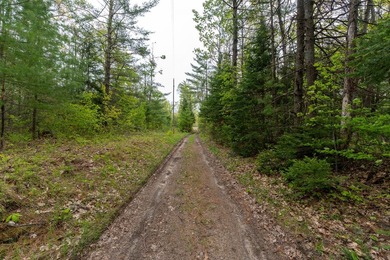 TURTLE LAKE / OTSEGO COUNTY, MI 1,408.88 Acres, 170+/- Acre - photo 51