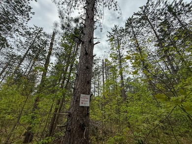 TURTLE LAKE / OTSEGO COUNTY, MI 1,408.88 Acres, 170+/- Acre - photo 52