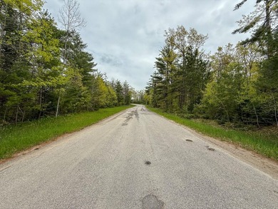 TURTLE LAKE / OTSEGO COUNTY, MI 1,408.88 Acres, 170+/- Acre - photo 53