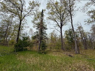 TURTLE LAKE / OTSEGO COUNTY, MI 1,408.88 Acres, 170+/- Acre - photo 54