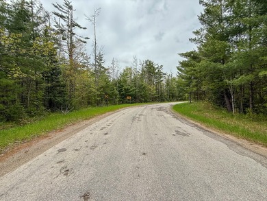 TURTLE LAKE / OTSEGO COUNTY, MI 1,408.88 Acres, 170+/- Acre - photo 55