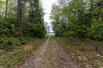TURTLE LAKE / OTSEGO COUNTY, MI 1,408.88 Acres, 170+/- Acre - photo 56