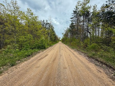 TURTLE LAKE / OTSEGO COUNTY, MI 1,408.88 Acres, 170+/- Acre - photo 57