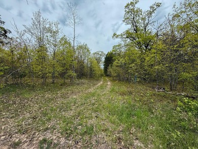 TURTLE LAKE / OTSEGO COUNTY, MI 1,408.88 Acres, 170+/- Acre - photo 58