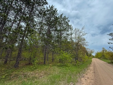 TURTLE LAKE / OTSEGO COUNTY, MI 1,408.88 Acres, 170+/- Acre - photo 59