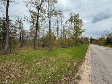 TURTLE LAKE / OTSEGO COUNTY, MI 1,408.88 Acres, 170+/- Acre - photo 60