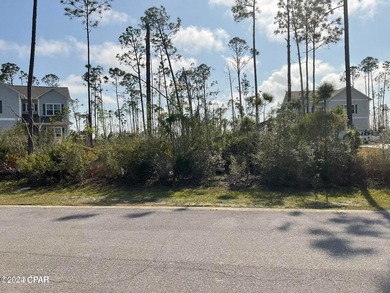 Build your dream home in this lovely waterfront gated community - photo 5