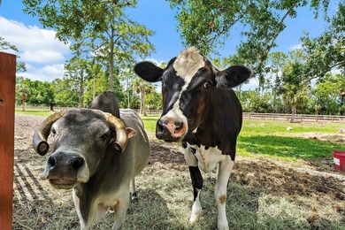 10.53 Acre Equestrian & Builder's Opportunity in the Heart of - photo 18