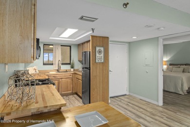 VERY MOTIVATED SELLER!! Back on Market, Buyer financing fell - photo 10