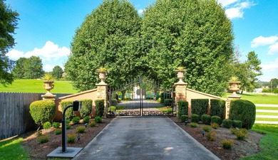 ***THIS IS HUGE! SELLER IS OFFERING A $500,000 UPDATE ALLOWANCE - photo 5