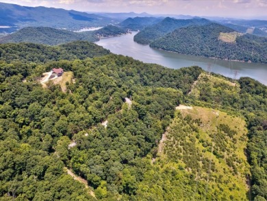 Almost 2 Acre Cherokee Lakeview Lot - Lake Lot For Sale in Mooresburg, Tennessee