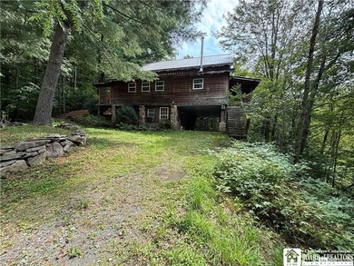 (private lake, pond, coastal) Home For Sale in Rexville New York