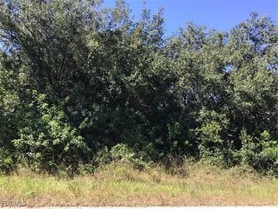 Lehigh Acres Area Lot For Sale in Lehigh Acres Florida