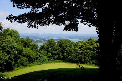 This lot 100 in Windswept on Cherokee Lake will impress with - photo 11