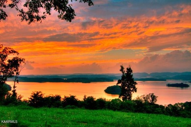 This lot 100 in Windswept on Cherokee Lake will impress with - photo 16