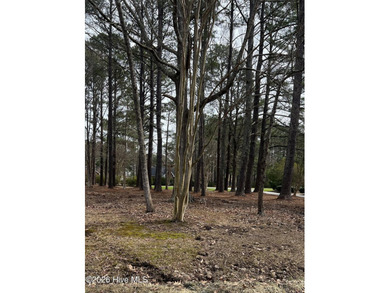 Additional listing photo 4