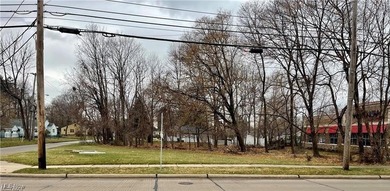 Lake Erie - Lake County Commercial For Sale in Mentor on The Lake Ohio