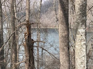 Lake Nantahala Lot For Sale in Nantahala North Carolina