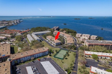 Lake Townhome/Townhouse For Sale in Dunedin, Florida