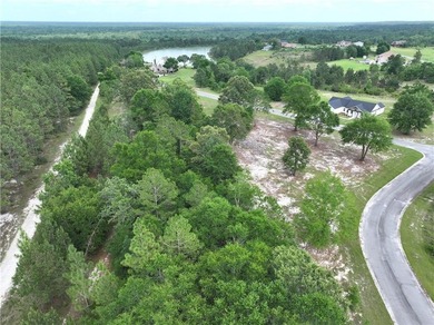 Lake Lot For Sale in Jesup, Georgia