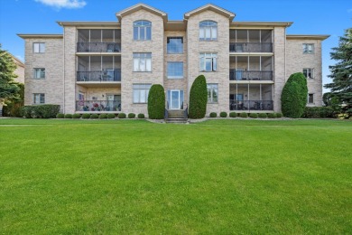 Lake Condo For Sale in Tinley Park, Illinois