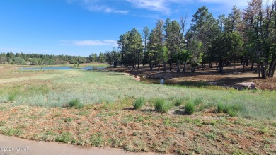 (private lake, pond, creek) Lot For Sale in Show Low Arizona