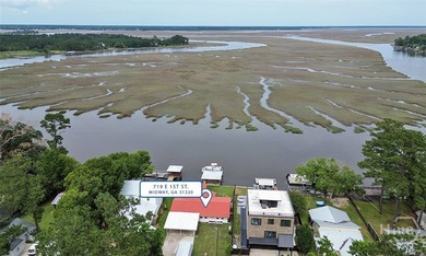 (private lake, pond, coastal) Home For Sale in Midway Georgia