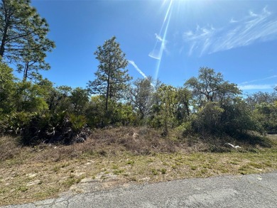 Lake Marion - Polk County Lot For Sale in Kissimmee Florida