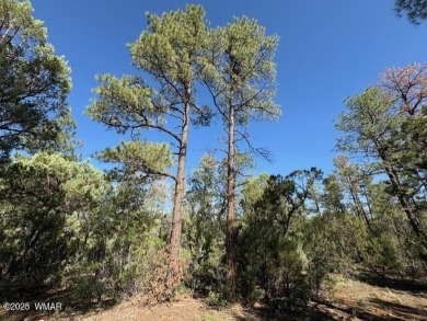 (private lake, pond, creek) Lot For Sale in Show Low Arizona