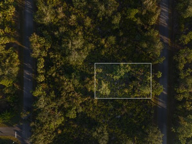 Port Charlotte Waterway Area Lot For Sale in Port Charlotte Florida