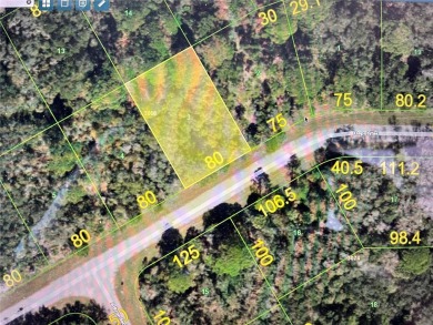 Port Charlotte Waterway Lakes Area Lot For Sale in Port Charlotte Florida