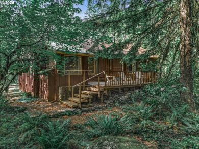 (private lake, pond, creek) Home For Sale in Rhododendron Oregon