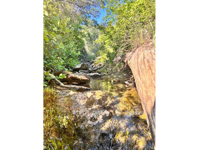 80 Acres with a 50 gpm well, a blue line stream, two ponds - photo 17