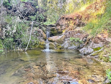80 Acres with a 50 gpm well, a blue line stream, two ponds - photo 19