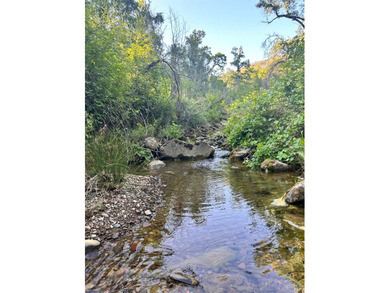 80 Acres with a 50 gpm well, a blue line stream, two ponds - photo 20