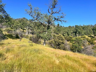 80 Acres with a 50 gpm well, a blue line stream, two ponds - photo 21