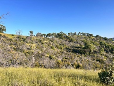 80 Acres with a 50 gpm well, a blue line stream, two ponds - photo 26