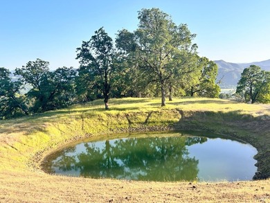 80 Acres with a 50 gpm well, a blue line stream, two ponds - photo 30