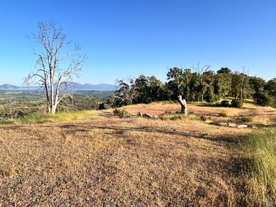 80 Acres with a 50 gpm well, a blue line stream, two ponds - photo 32