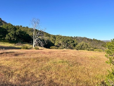 80 Acres with a 50 gpm well, a blue line stream, two ponds - photo 35