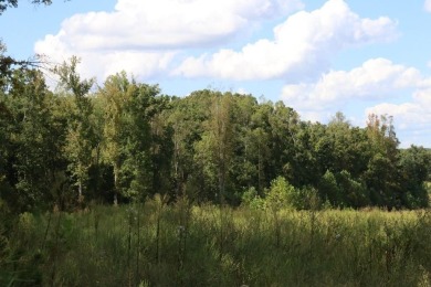 Lake Acreage For Sale in Keysville, Virginia