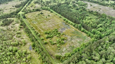 (private lake, pond, creek) Acreage For Sale in Estill South Carolina