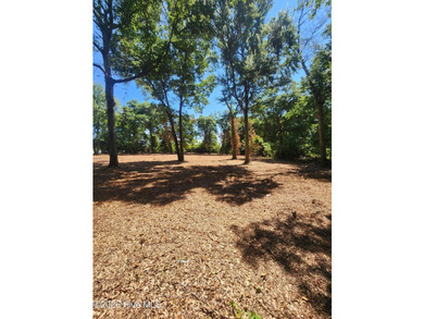 Build your dream home on this beautiful 1.15-acre lot at 102 - photo 11